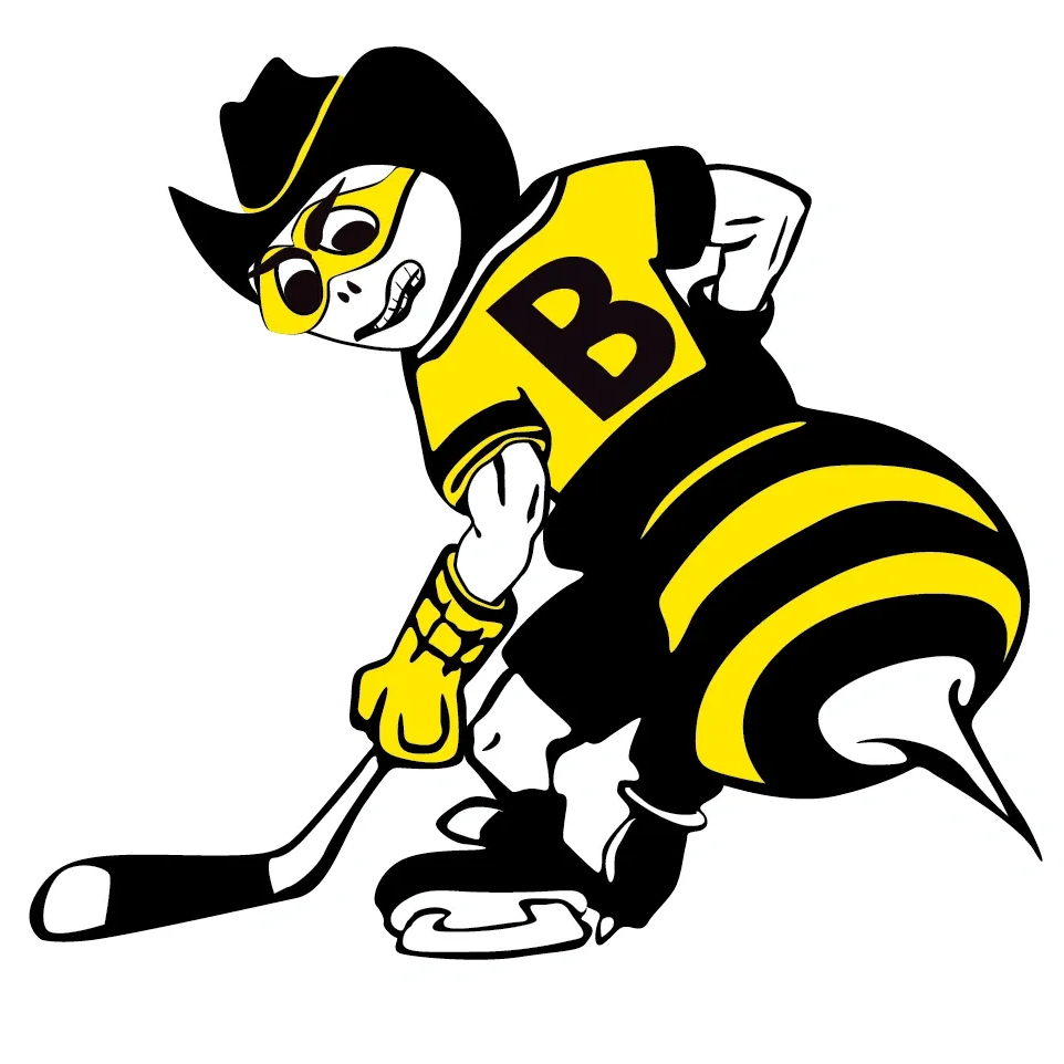 schedule-bozeman-stingers-hockey