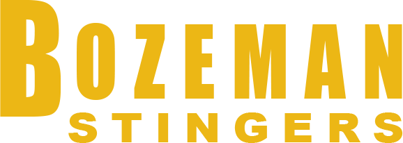 Bozeman Stingers Hockey logo